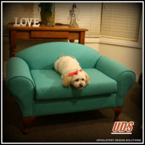 Upholstered Dog Beds